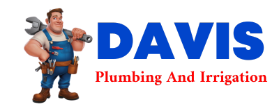 Trusted plumber in FISHER